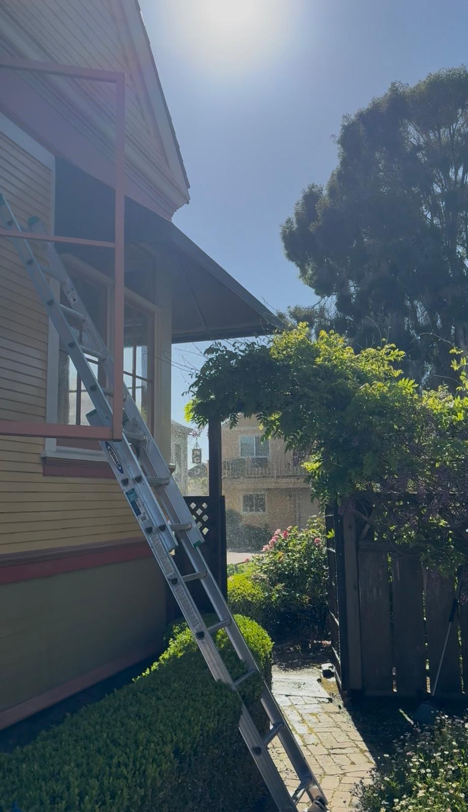 Hardwood floor cleaning service