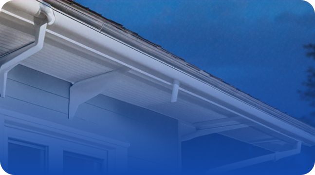 Gutter cleaning service